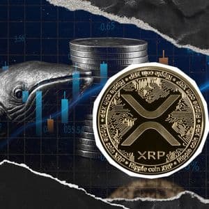 XRP Whales Disappear, Leaving 1.18 Billion Coins in 4 Weeks
